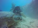 Hawaii Scuba divng 61