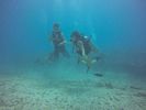 Hawaii Scuba divng 64