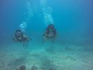 Hawaii Scuba divng 65