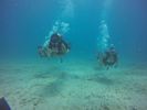 Hawaii Scuba divng 67