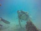 Hawaii Scuba divng 69