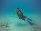 Hawaii Scuba divng 70