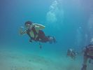 Hawaii Scuba divng 71