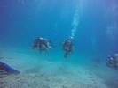 Hawaii Scuba divng 72