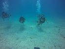 Hawaii Scuba divng 73
