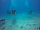 Hawaii Scuba divng 75