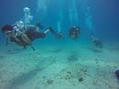 Hawaii Scuba divng 76