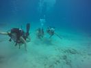 Hawaii Scuba divng 77