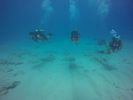 Hawaii Scuba divng 78