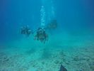 Hawaii Scuba divng 07