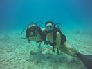 Hawaii Scuba divng 08