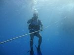 Hawaii Scuba divng 10