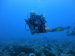 Hawaii Scuba divng 15