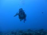 Hawaii Scuba divng 16