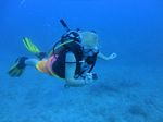 Hawaii Scuba divng 18