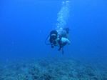 Hawaii Scuba divng 21