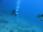 Hawaii Scuba divng 24