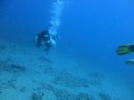 Hawaii Scuba divng 24