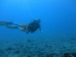 Hawaii Scuba divng 26