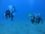 Hawaii Scuba divng 27