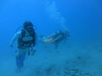 Hawaii Scuba divng 28