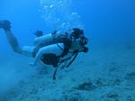 Hawaii Scuba divng 31