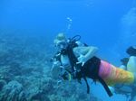 Hawaii Scuba divng 32