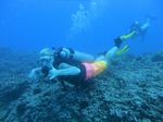 Hawaii Scuba divng 35