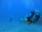 Hawaii Scuba divng 36