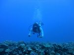 Hawaii Scuba divng 40