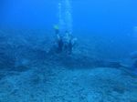 Hawaii Scuba divng 42