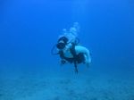 Hawaii Scuba divng 43