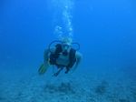 Hawaii Scuba divng 44