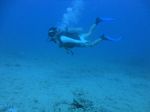 Hawaii Scuba divng 45