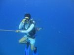 Hawaii Scuba divng 48