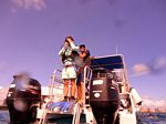 Hawaii Scuba divng 05