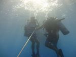 Hawaii Scuba divng 09