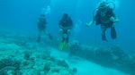 Hawaii Scuba divng 19