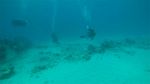 Hawaii Scuba divng 29