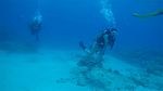 Hawaii Scuba divng 33