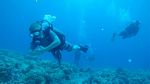 Hawaii Scuba divng 35