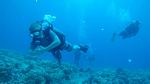 Hawaii Scuba divng 35