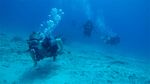 Hawaii Scuba divng 36