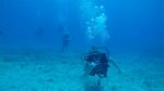 Hawaii Scuba divng 38