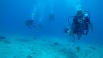 Hawaii Scuba divng 39