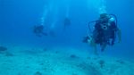 Hawaii Scuba divng 39