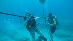 Hawaii Scuba divng 41