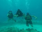 Hawaii Scuba divng 43