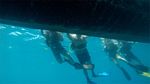 Hawaii Scuba divng 07