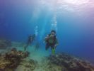 Hawaii Scuba divng 11